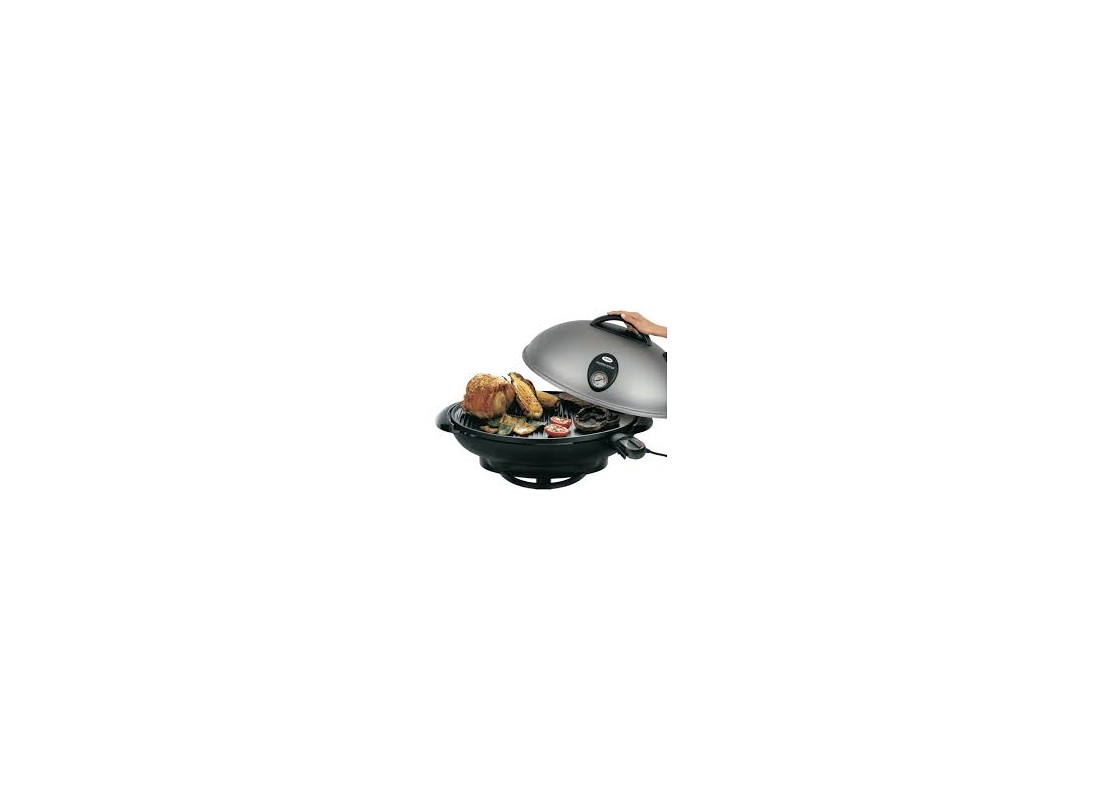 Looking For Sunbeam Bbq Grill Parts?